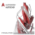 AutoCAD 2020 Single Membership /1년